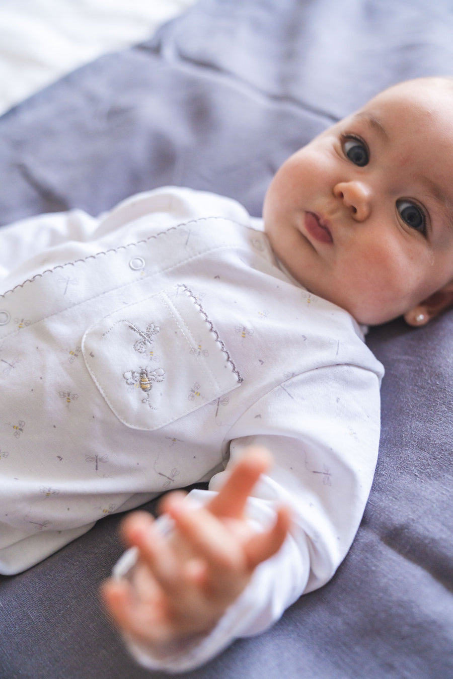 Enterito pima abejitas