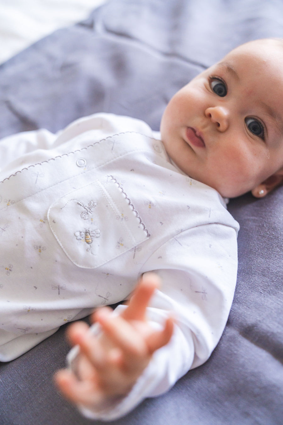 Enterito pima abejitas