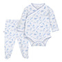 Conjunto libélulas azul