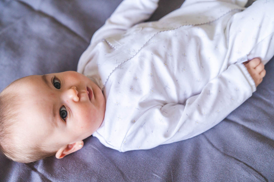 Enterito pima abejitas